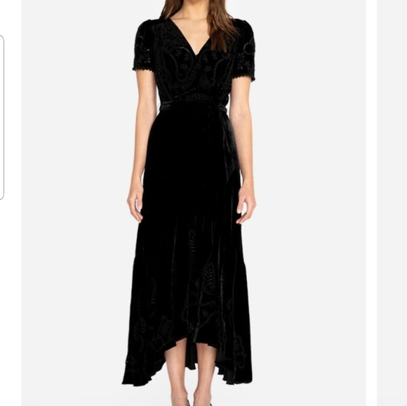 Johnny was SALTER VELVET MAXI DRESS - Picture 4 of 8